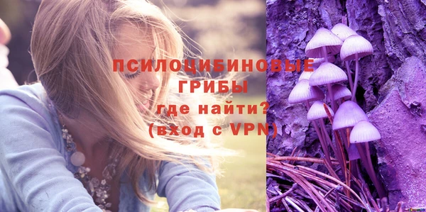 прущие грибы Иннополис