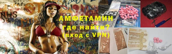 шишки Болохово