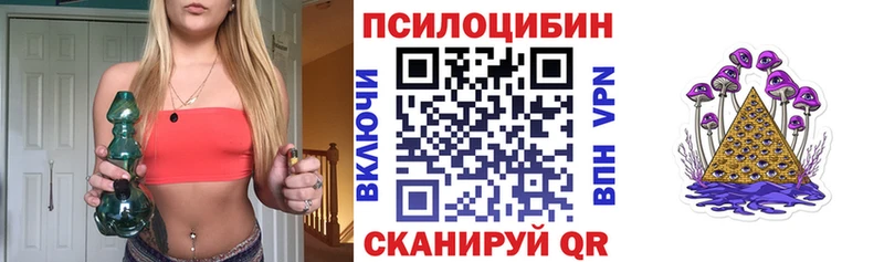где можно купить наркотик  Кинель  Псилоцибиновые грибы Psilocybine cubensis 